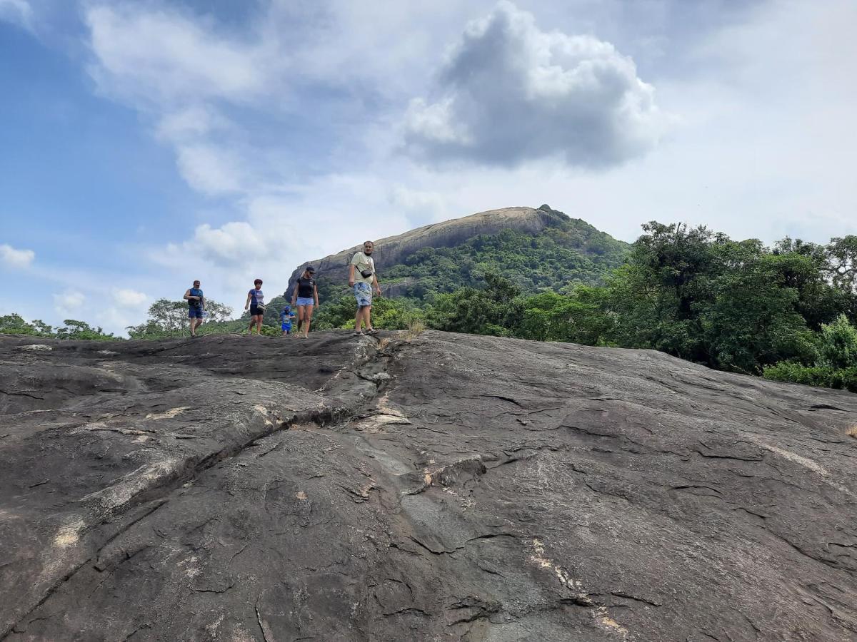 Galaxy View Homestay Sigiriya Exterior photo