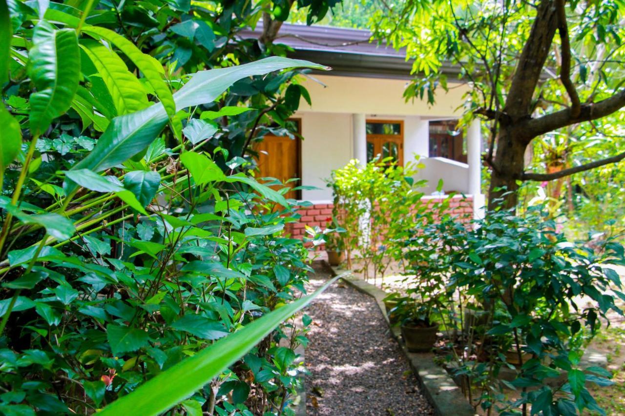 Galaxy View Homestay Sigiriya Exterior photo