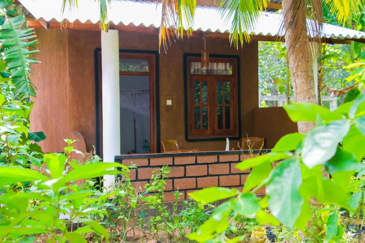 Galaxy View Homestay Sigiriya Exterior photo