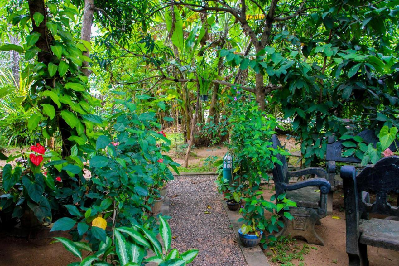 Galaxy View Homestay Sigiriya Exterior photo