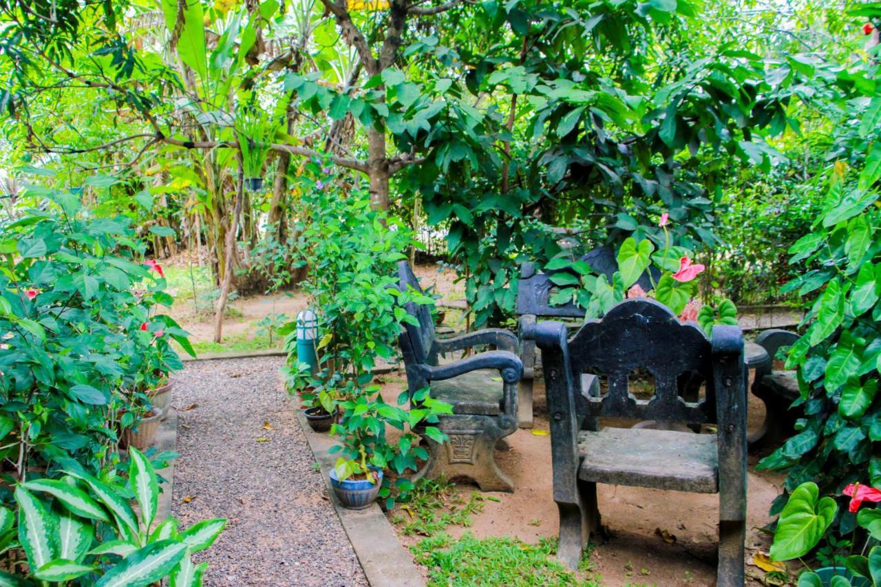 Galaxy View Homestay Sigiriya Exterior photo